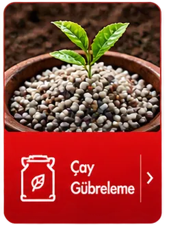 Kutu İkon